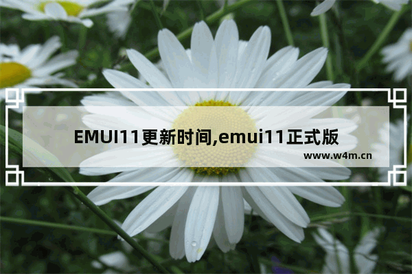 EMUI11更新时间,emui11正式版本什么时候更新