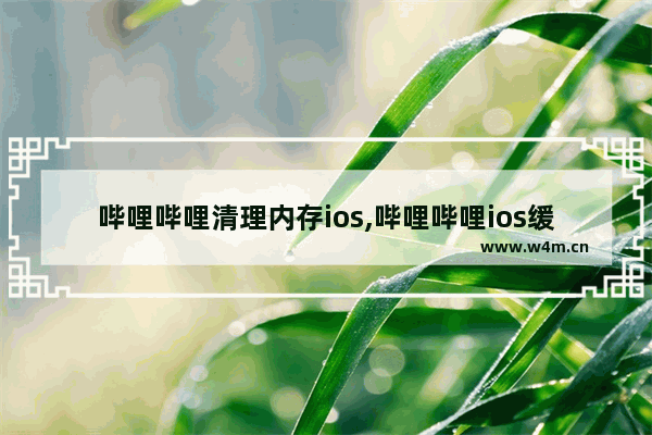 哔哩哔哩清理内存ios,哔哩哔哩ios缓存数据清不掉