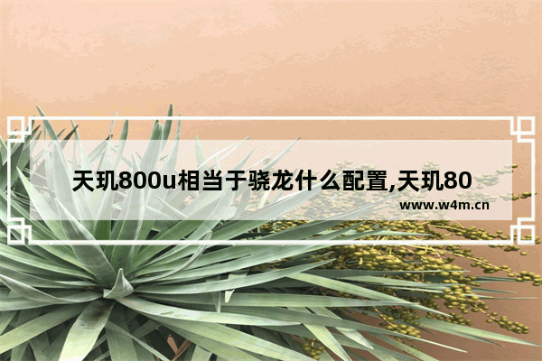 天玑800u相当于骁龙什么配置,天玑8000相当于骁龙多少