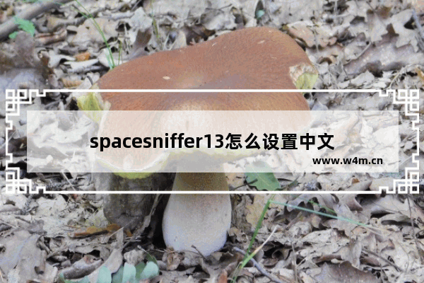 spacesniffer13怎么设置中文,SpaceSniffer官网