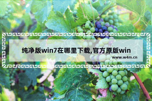 纯净版win7在哪里下载,官方原版win7纯净版