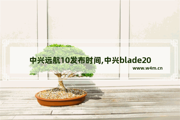 中兴远航10发布时间,中兴blade20pro参数