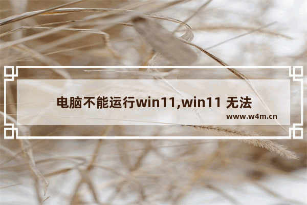 电脑不能运行win11,win11 无法运行