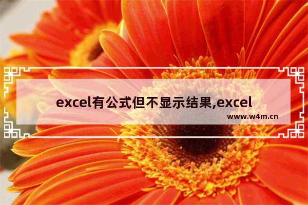 excel有公式但不显示结果,excel单元格不显示公式,只显示结果