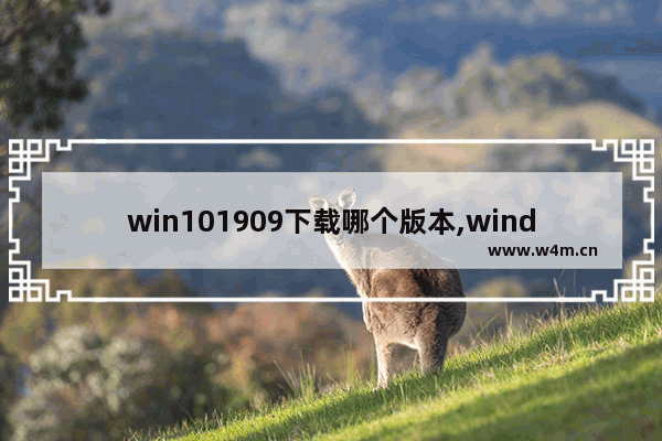 win101909下载哪个版本,windows10 1903正式版