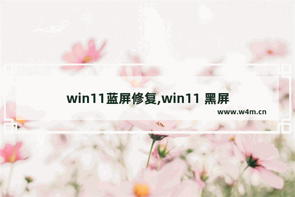 win11蓝屏修复,win11 黑屏