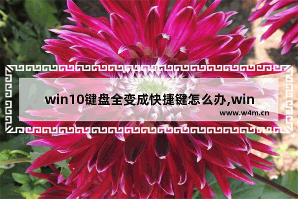 win10键盘全变成快捷键怎么办,windows11设置快捷键