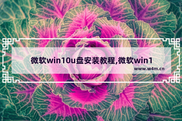 微软win10u盘安装教程,微软win10u盘安装原文件