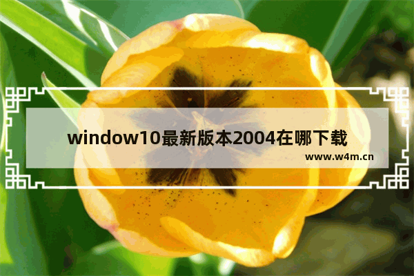 window10最新版本2004在哪下载,win10家庭版沙盒怎么打开