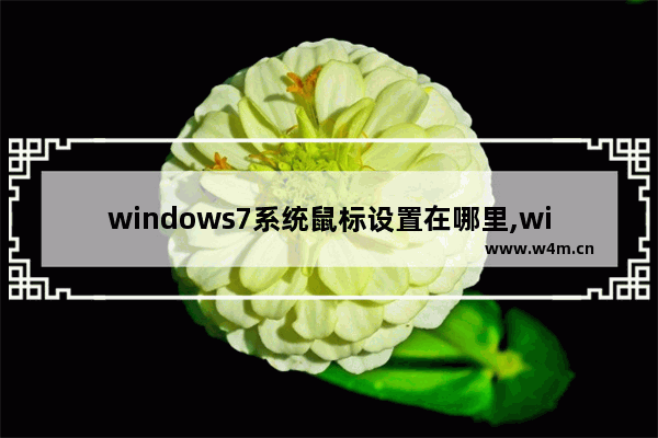 windows7系统鼠标设置在哪里,windows7的鼠标指针设置在哪里