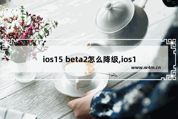 ios15 beta2怎么降级,ios15更新计划