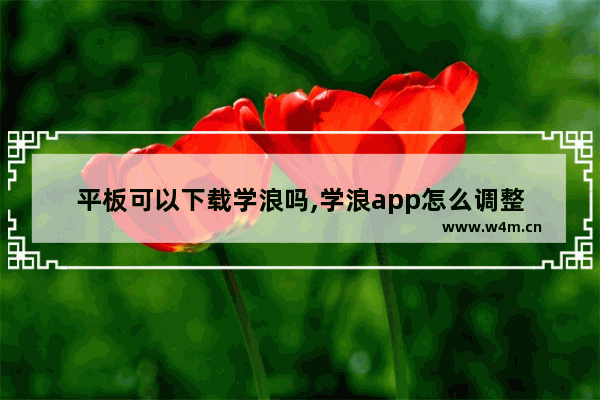 平板可以下载学浪吗,学浪app怎么调整