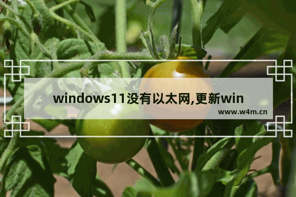 windows11没有以太网,更新win11后网络不可用