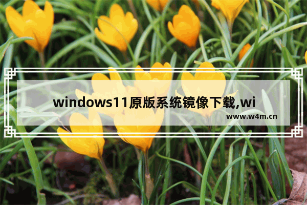 windows11原版系统镜像下载,win11中文版镜像下载