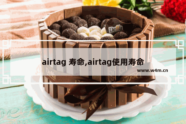 airtag 寿命,airtag使用寿命