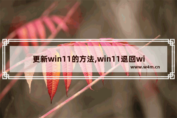 更新win11的方法,win11退回win10还能升级win11