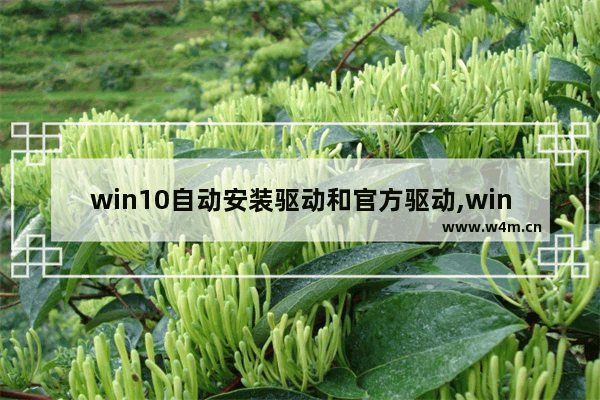 win10自动安装驱动和官方驱动,win10更新会自动安装驱动吗