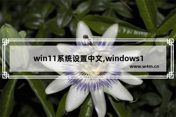 win11系统设置中文,windows11 设置中文