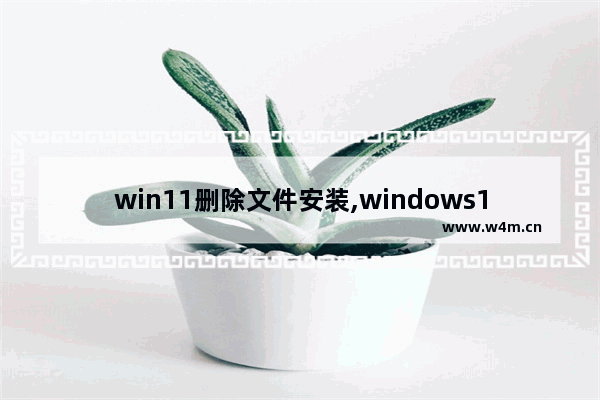 win11删除文件安装,windows10安装包怎么删除