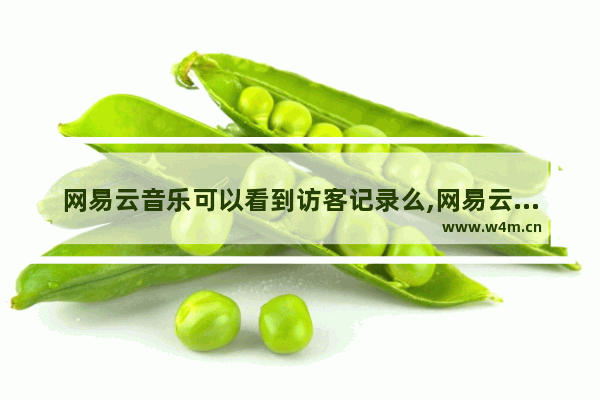 网易云音乐可以看到访客记录么,网易云音乐会显示访客记录吗