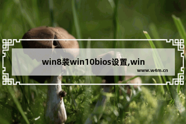 win8装win10bios设置,win7电脑装win10bios怎么设置