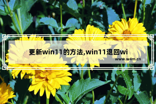 更新win11的方法,win11退回win10还能升级win11