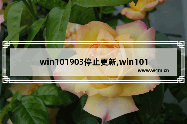 win101903停止更新,win101803关闭自动更新