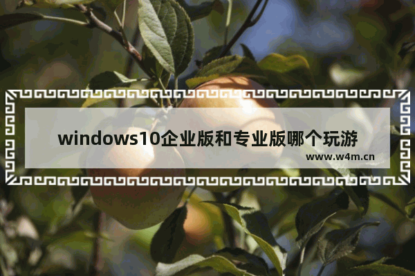 windows10企业版和专业版哪个玩游戏好,win10专业版和企业版的区别-win10专业版打游戏好吗