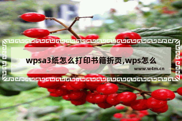 wpsa3纸怎么打印书籍折页,wps怎么打印书页