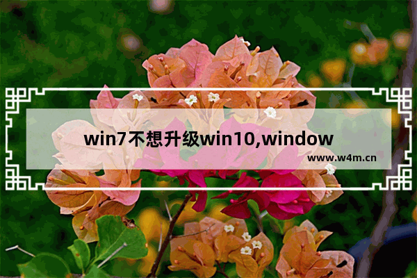 win7不想升级win10,windows10不升级能用吗