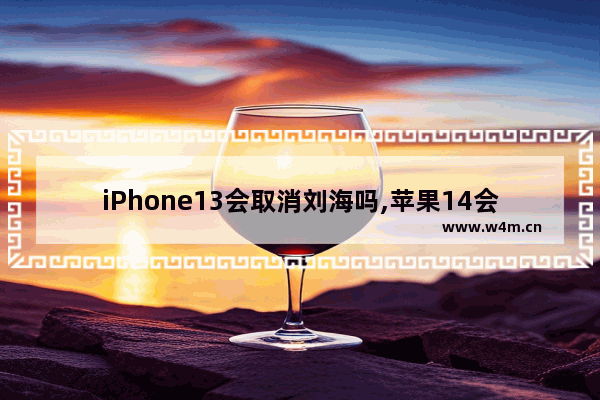 iPhone13会取消刘海吗,苹果14会取消刘海屏吗