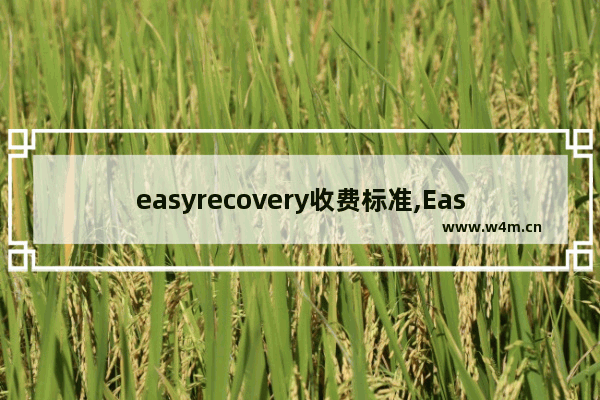 easyrecovery收费标准,EasyRecovery免费吗