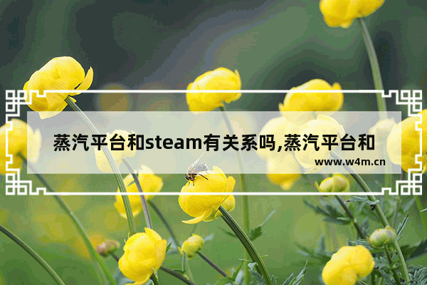 蒸汽平台和steam有关系吗,蒸汽平台和steam有什么不一样