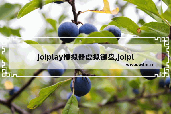 joiplay模拟器虚拟键盘,joiplay模拟器鼠标怎么调出