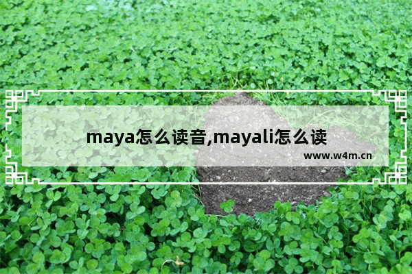 maya怎么读音,mayali怎么读