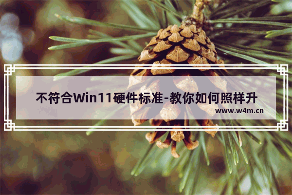 不符合Win11硬件标准-教你如何照样升级Win11,你的电脑不满足windows11的最低硬件要求怎么解决