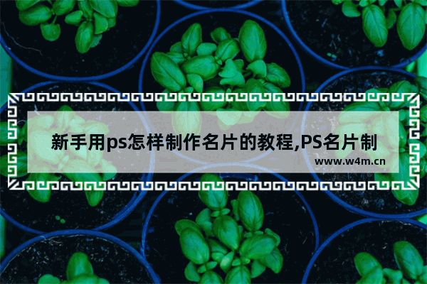 新手用ps怎样制作名片的教程,PS名片制作教程