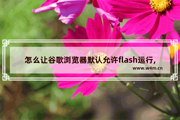 怎么让谷歌浏览器默认允许flash运行,chrome设置flash始终允许