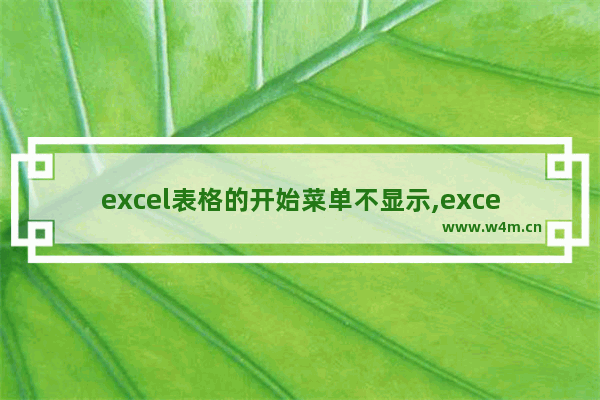 excel表格的开始菜单不显示,excel看不到开始菜单栏