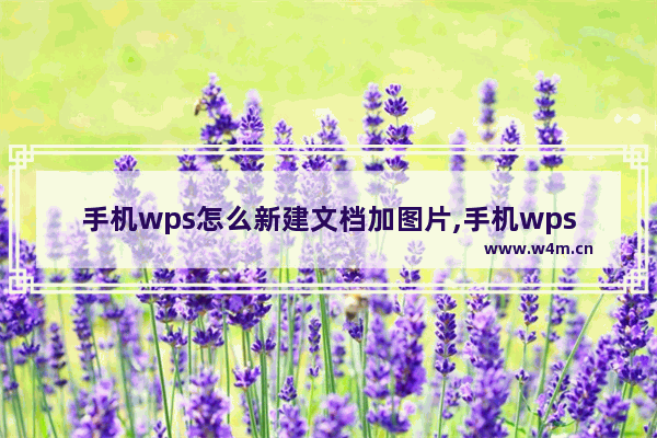 手机wps怎么新建文档加图片,手机wps怎么新建文档怎么换下一行