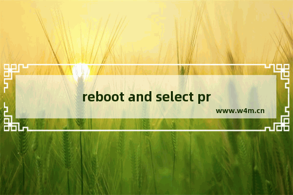 reboot and select proper boot devices,reboot and select proper boot device orinsert boot