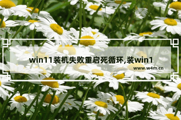 win11装机失败重启死循环,装win11重启崩溃