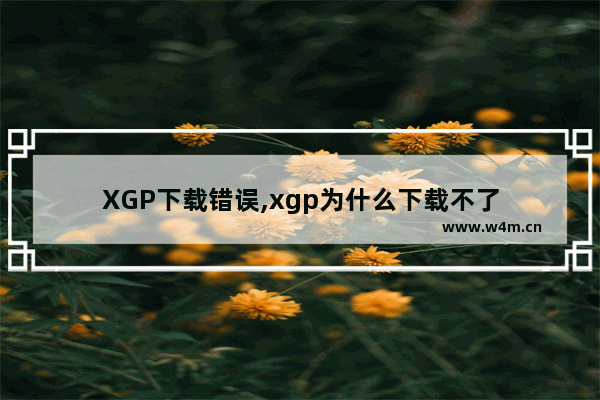 XGP下载错误,xgp为什么下载不了