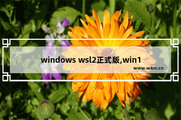 windows wsl2正式版,win10 ltsc wsl2