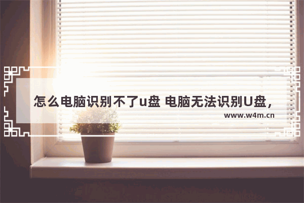 怎么电脑识别不了u盘 电脑无法识别U盘，怎么办？