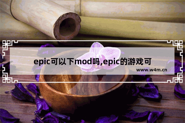 epic可以下mod吗,epic的游戏可以加mod吗