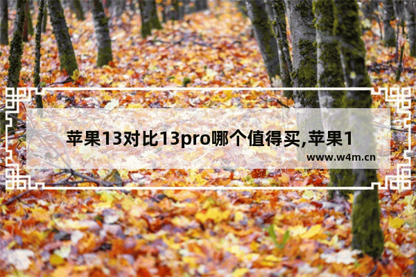 苹果13对比13pro哪个值得买,苹果13pro和苹果13哪个性价比高