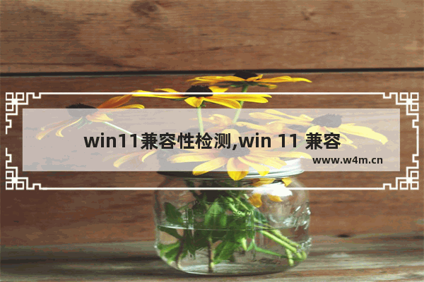 win11兼容性检测,win 11 兼容性