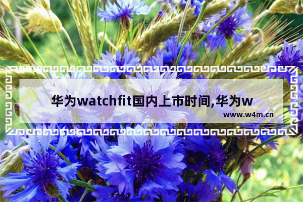 华为watchfit国内上市时间,华为watchfit什么时候出新款