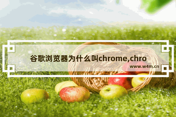 谷歌浏览器为什么叫chrome,chrome浏览器中文名字